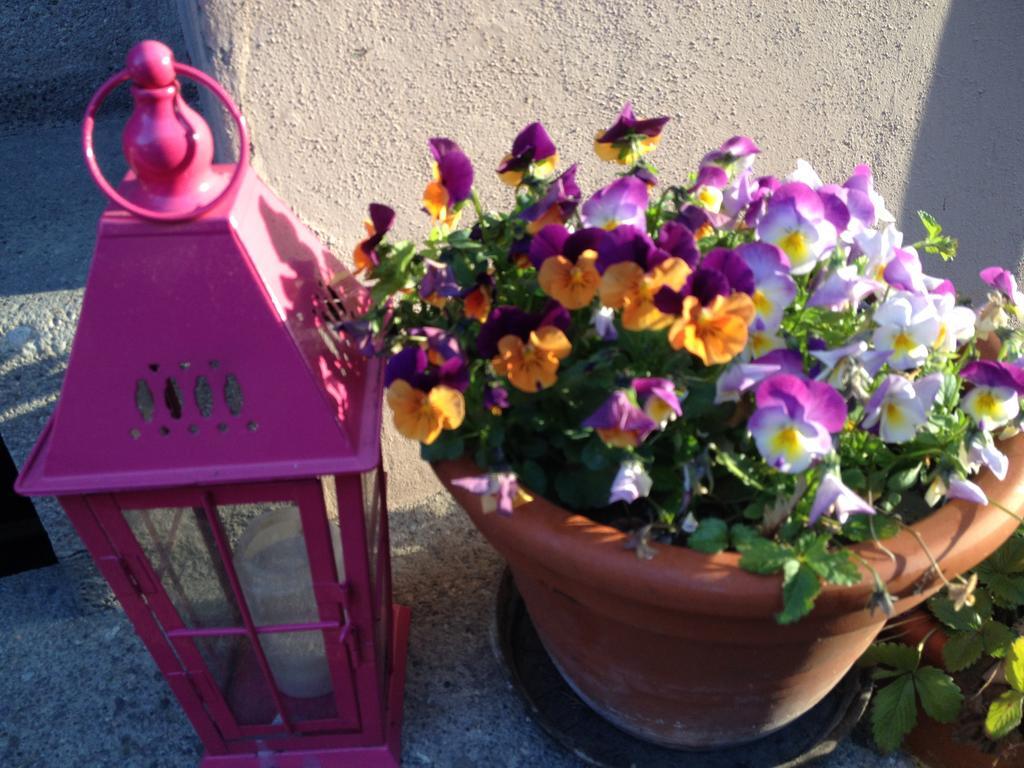 B&B La Vie En Rose Basilej Exteriér fotografie