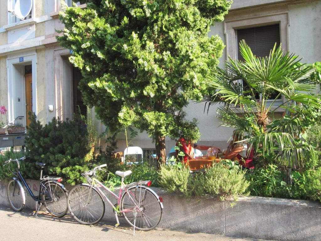 B&B La Vie En Rose Basilej Exteriér fotografie